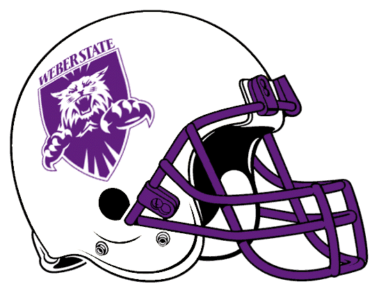 Weber State Wildcats 2001-2005 Helmet Logo diy DTF decal sticker